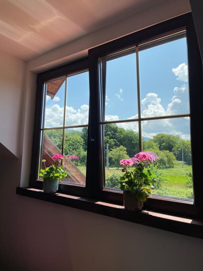 Casa La Doi Nuci Hotel Bradet  Екстериор снимка